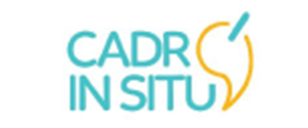 Cadr In Situ : Solutions de gestion et d’intégration Odoo pour hôtels et résidences.